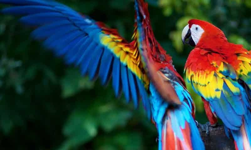 quaerat-consequatur-culpa-velit